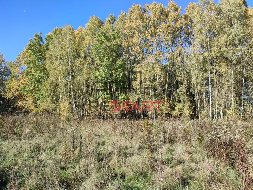 Działka rolna na sprzedaż Adamów-Parcel  20 800m2 Foto 10