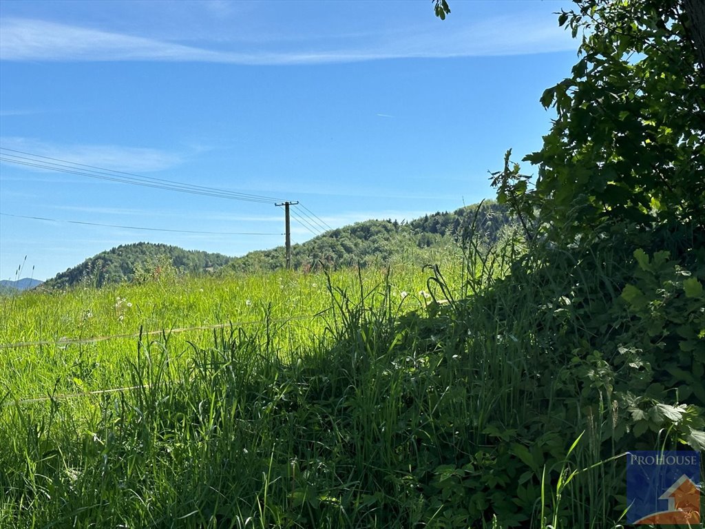 Działka budowlana na sprzedaż Skrzydlna  7 400m2 Foto 15