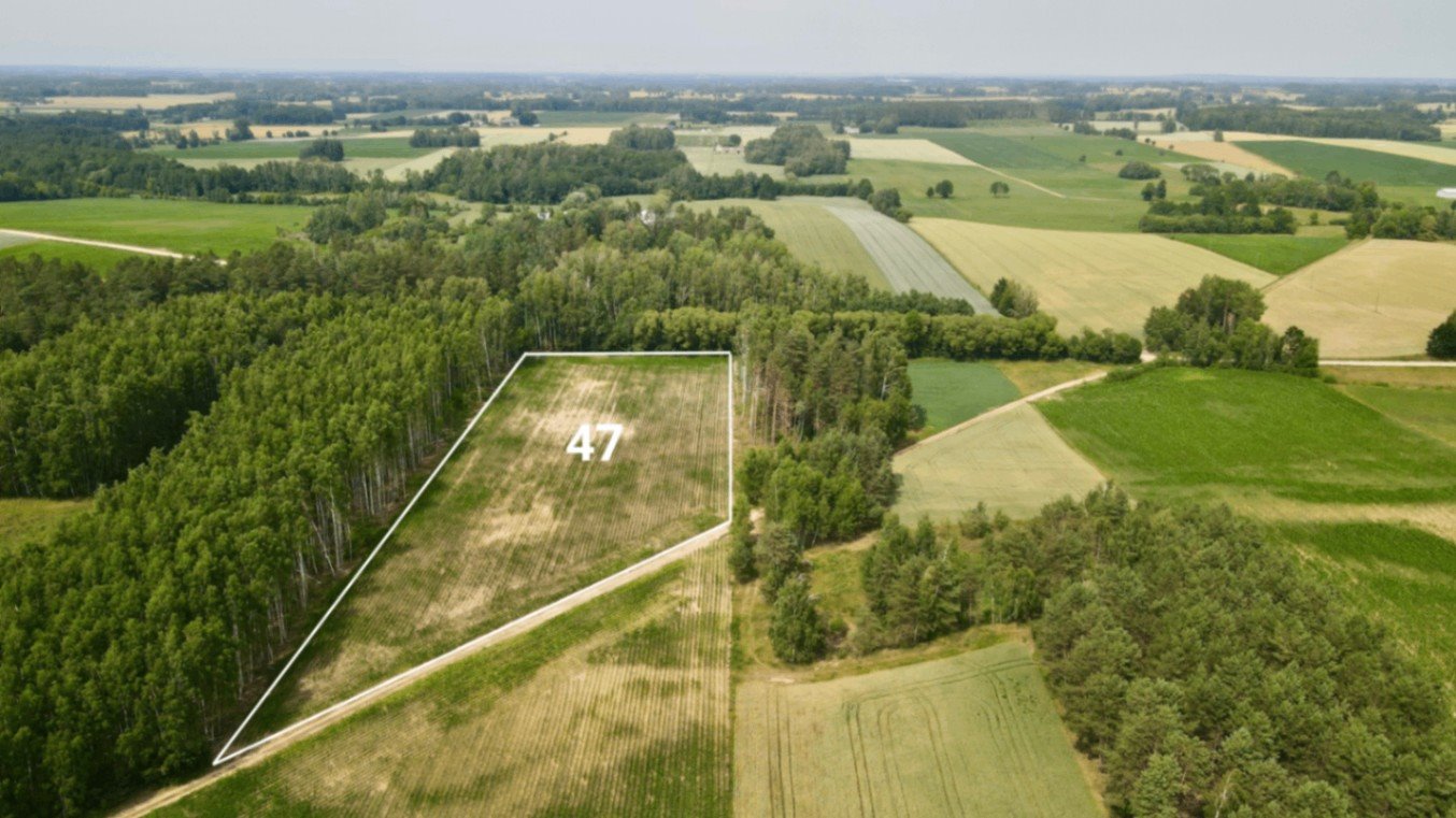 Działka 14 099 m² z warunkami zabudowy i podziałem Bombla  14 099m2 Foto 1
