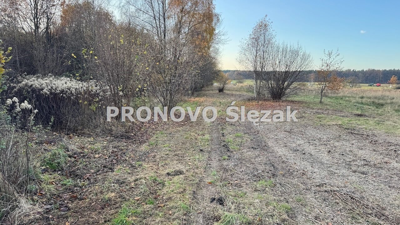 Działka 1266 m² pod dom z ogrodem, blisko Obornik Śląskich - polecam Oborniki Śląskie, Rościsławice  1 266m2 Foto 1