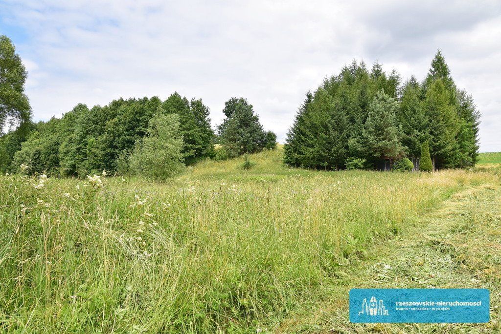 Działka budowlana na sprzedaż Stara Wieś  4 629m2 Foto 6