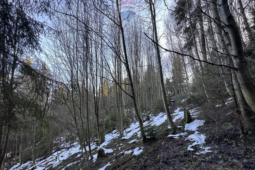 Działka leśna na sprzedaż Nowy Targ  2 128m2 Foto 5