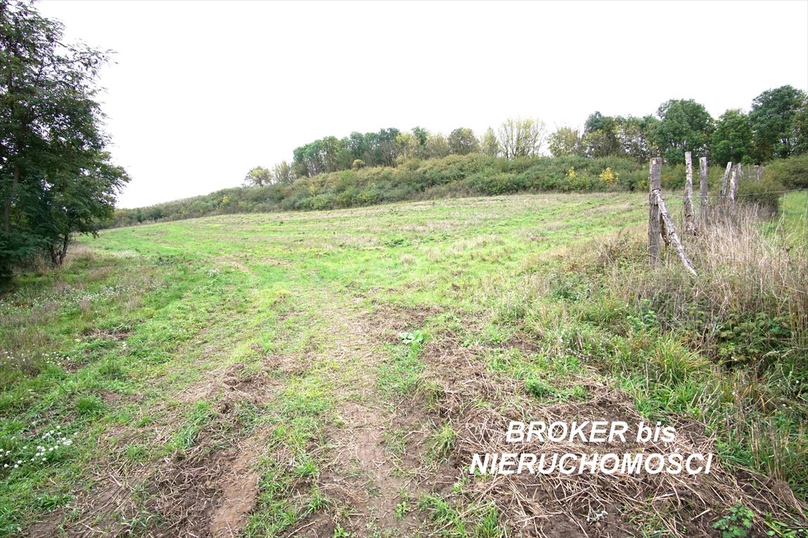 Działka siedliskowa 6400 m² w Górkach (blisko Wartę) Górki  6 400m2 Foto 1