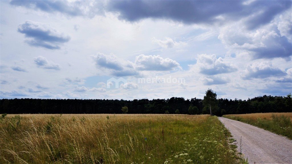 Działka rolna na sprzedaż Grzybowo 21 116m2 Foto 1 Działka rolna na sprzedaż Grzybowo 21 116m2 Foto 1