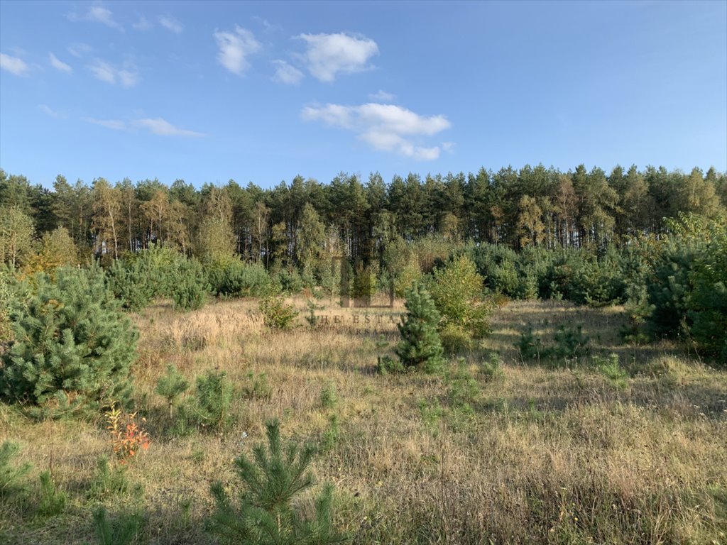 Na sprzedaż działka 2000 m² z lasem i dostępem do Narwi Gnojno  2 000m2 Foto 1