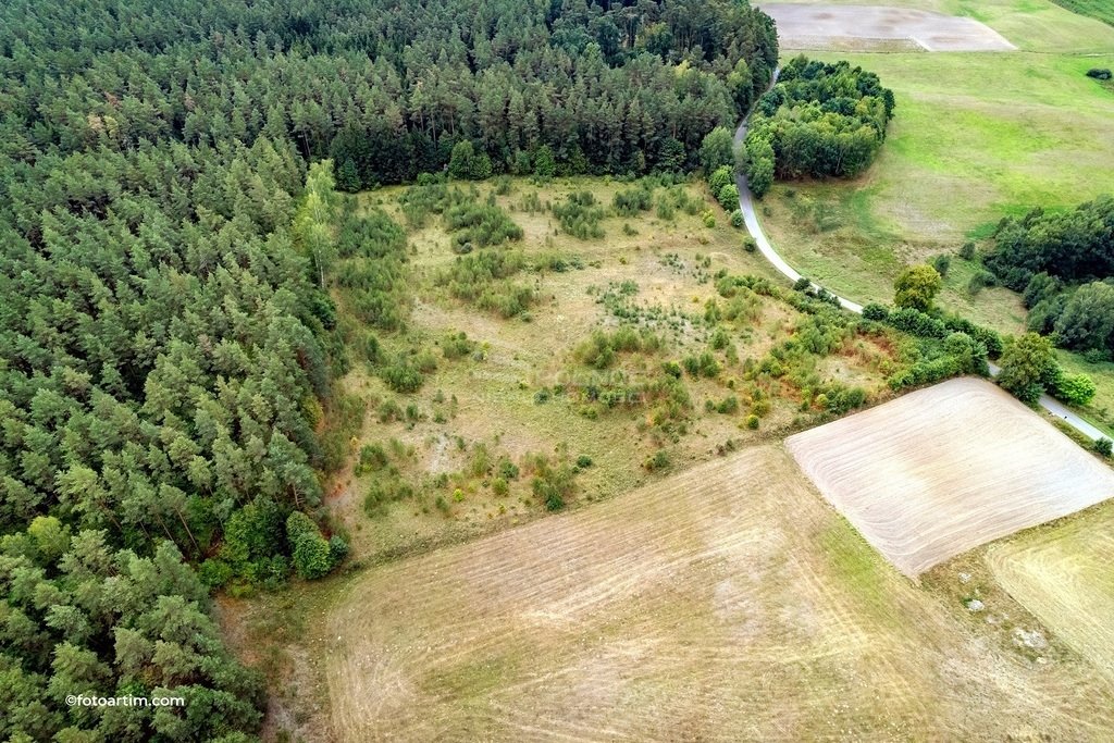 Działka rolna na sprzedaż Elganowo  23 300m2 Foto 5