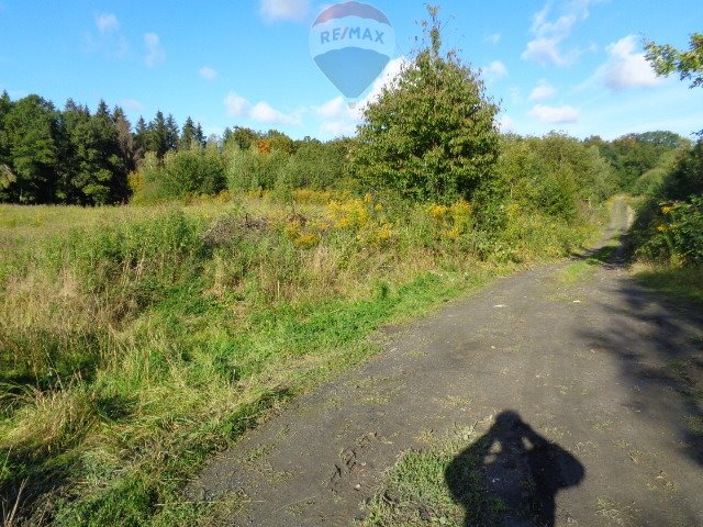 Działka budowlana na sprzedaż Ogrodniki  14 562m2 Foto 20