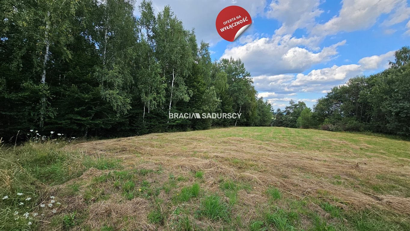 Działka budowlana na sprzedaż Połom Duży  3 500m2 Foto 10