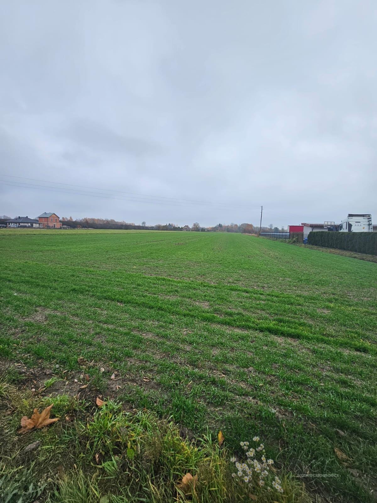 Działka budowlana na sprzedaż Kąty  11 500m2 Foto 1