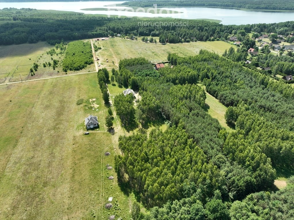 Działka rolna na sprzedaż Pilchy  1 571m2 Foto 8