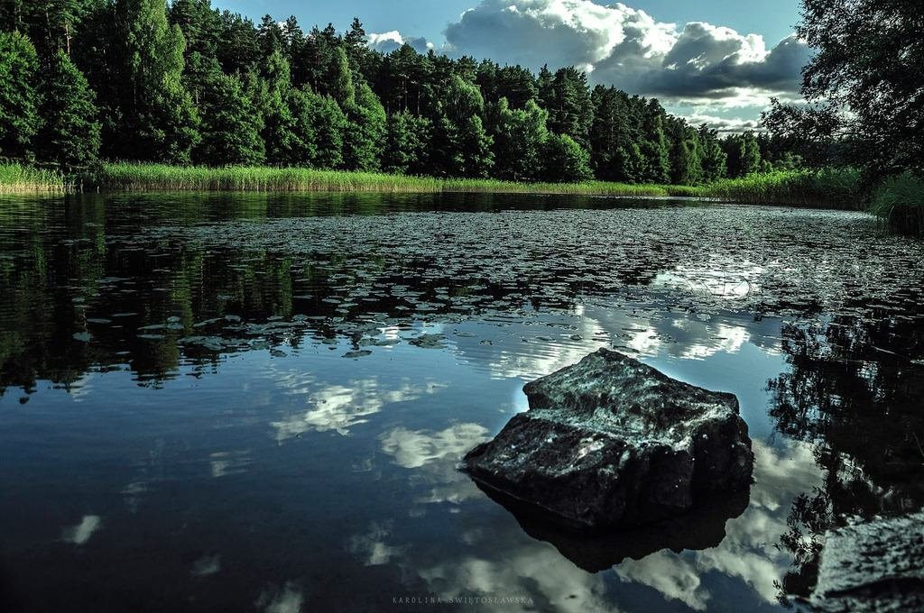 Działka leśna z prawem budowy na sprzedaż Byszyno  190 000m2 Foto 1