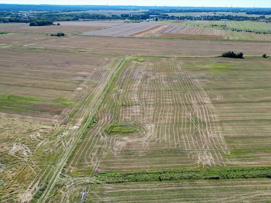 Działka budowlana na sprzedaż Bolesławice  1 000m2 Foto 4