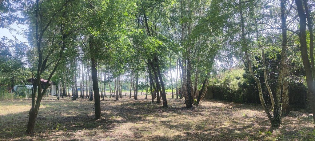 Działka budowlana z widokiem na las w Borzęcinie Dużym Borzęcin Duży  1 385m2 Foto 1