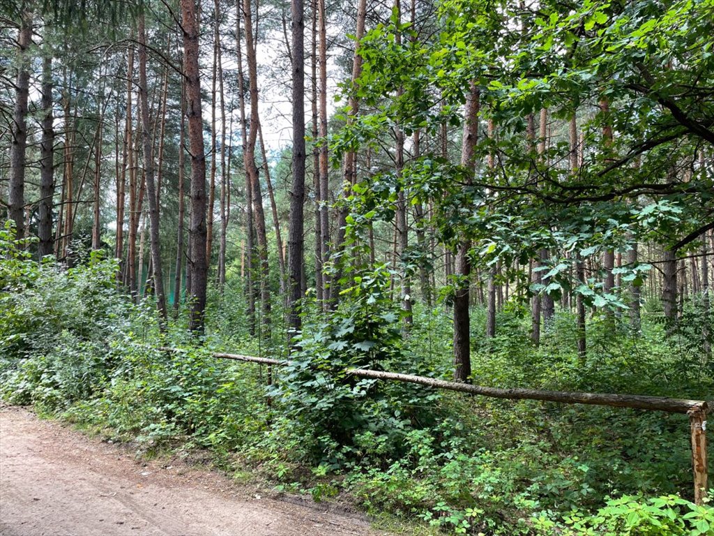 Działka rekreacyjna na sprzedaż Brańszczyk, Brańszczyk-Nakieł, Spokojna  1 144m2 Foto 10