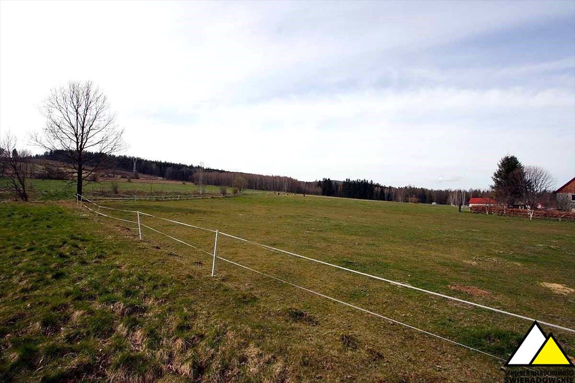 Działka rolna na sprzedaż Mała Kamienica, Stara Kamienica  15 500m2 Foto 3