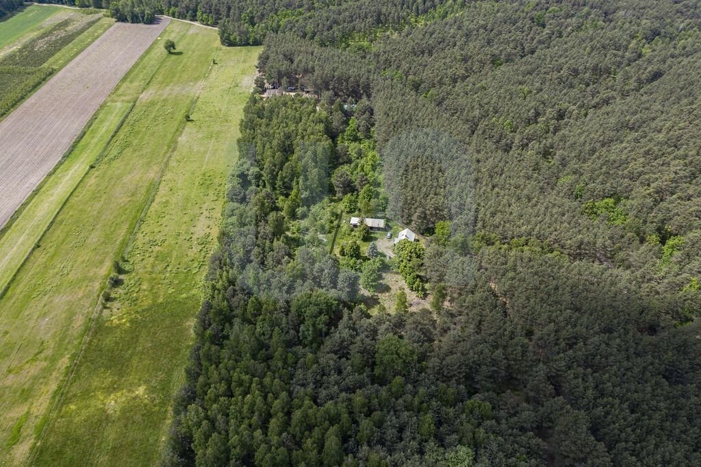 Działka budowlana na sprzedaż Wola Władysławowska  35 000m2 Foto 3