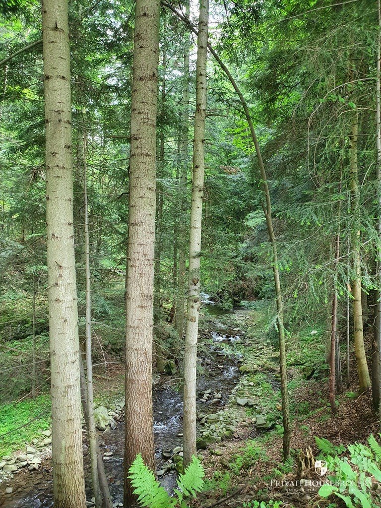 Dom na sprzedaż Zawoja, Ryżowana  95m2 Foto 16