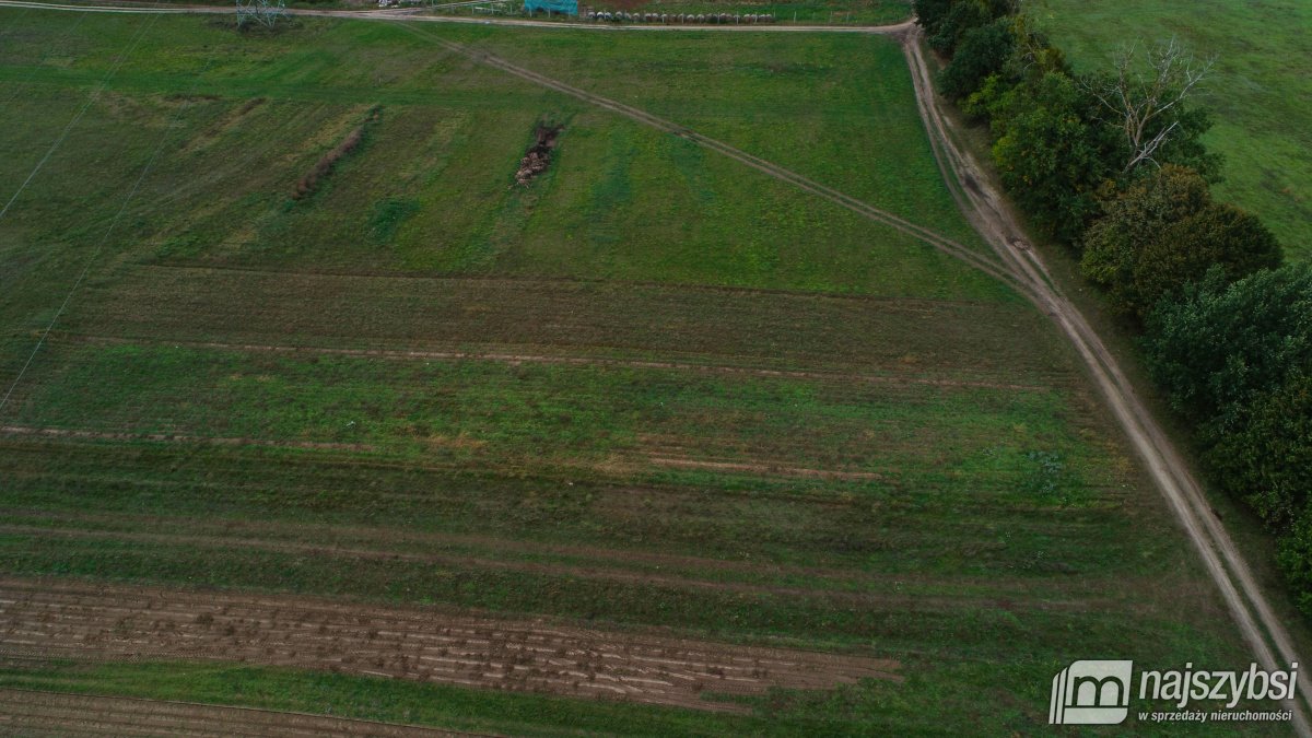 Działka rolna na sprzedaż Sosnowice, Wieś  1 000m2 Foto 13