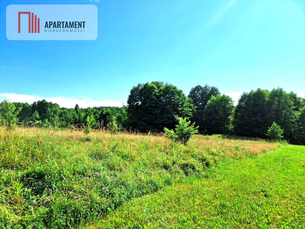 Działka budowlana na sprzedaż Śliwiczki  3 100m2 Foto 4