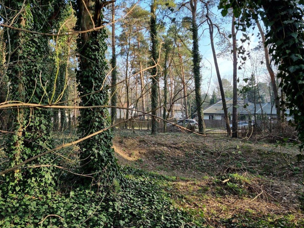 Działka budowlana na sprzedaż Podkowa Leśna, Owczarnia  1 487m2 Foto 1