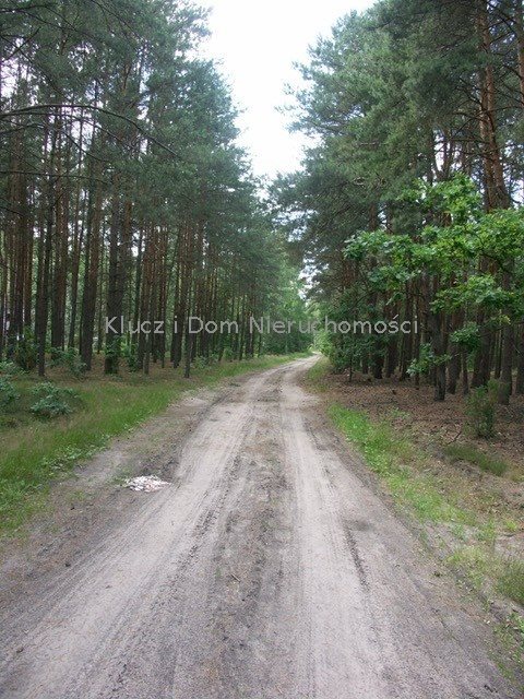 Działka inna na sprzedaż Nowe Grobice 5 000m2 Foto 1 Działka inna na sprzedaż Nowe Grobice 5 000m2 Foto 1