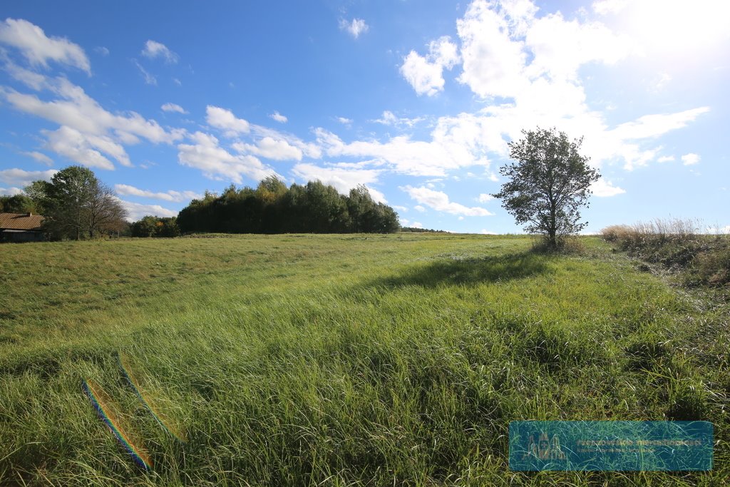 Działka budowlana na sprzedaż Hucisko Jawornickie  7 700m2 Foto 2