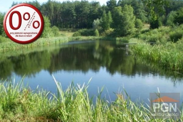 Duża działka rolna z stawem, prąd, 49 200 m², Kamień Pomorski KAMIEŃ POMORSKI OKOLICA, okolica - 8 km  49 200m2 Foto 1