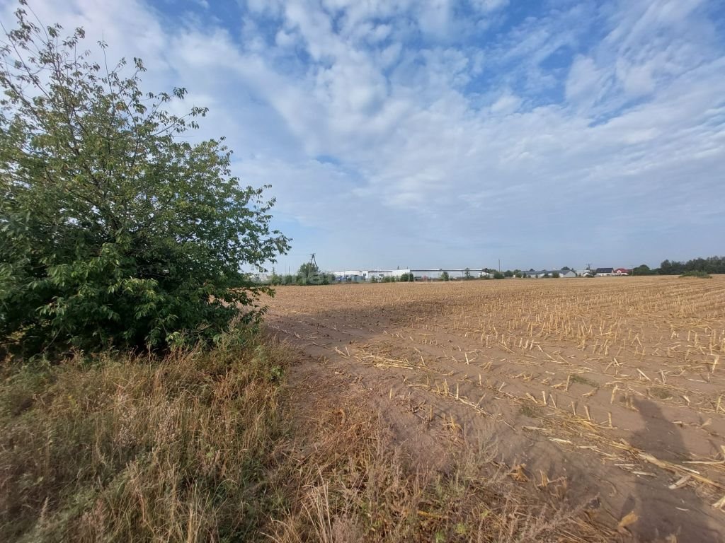 Działka rolna na sprzedaż Kozielec  9 850m2 Foto 2