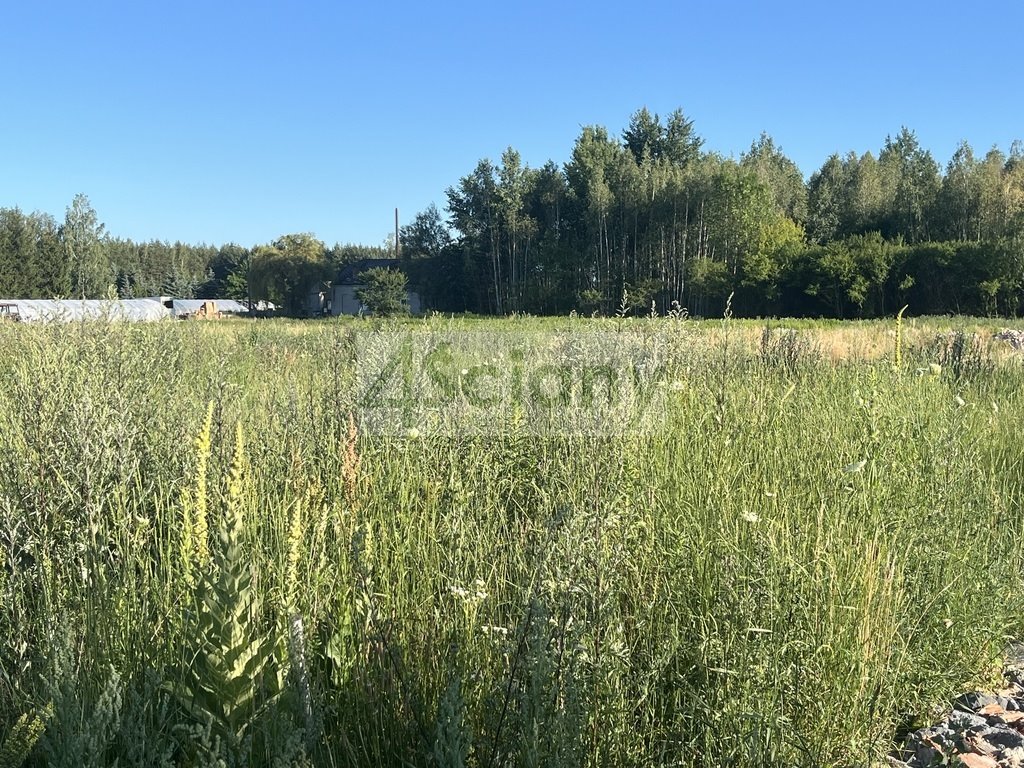 Działka budowlana na sprzedaż Grzędy  1 716m2 Foto 1