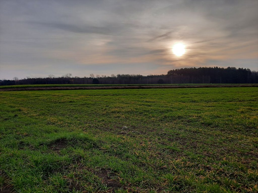 Działka budowlana na sprzedaż Dobrzyniewo Kościelne  3 011m2 Foto 1