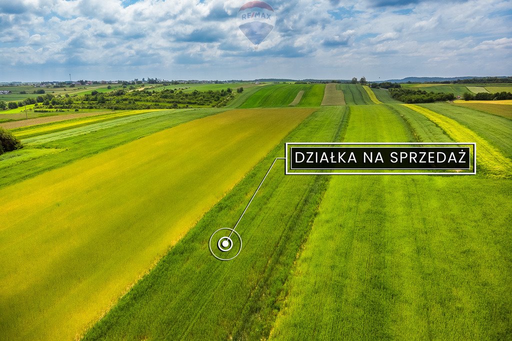 Działka inna na sprzedaż Skała  8 350m2 Foto 5