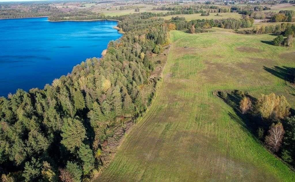 Działka rolna na sprzedaż Ramsowo  6 195m2 Foto 9