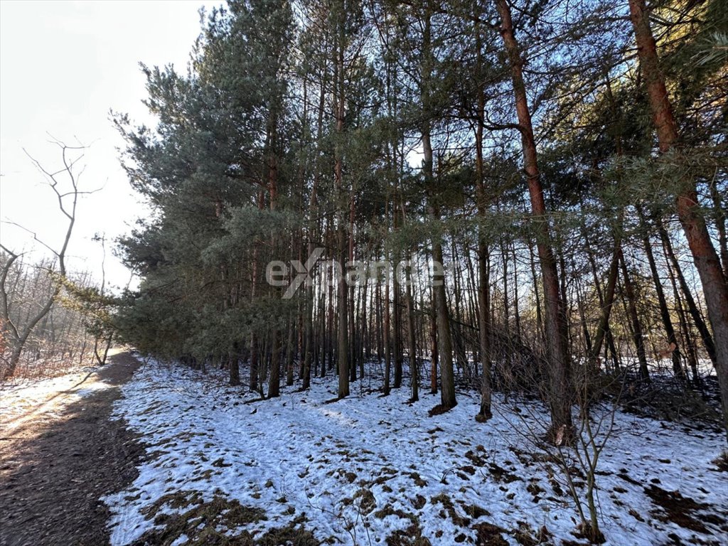 Działka budowlana na sprzedaż Częstochowa  10 685m2 Foto 3