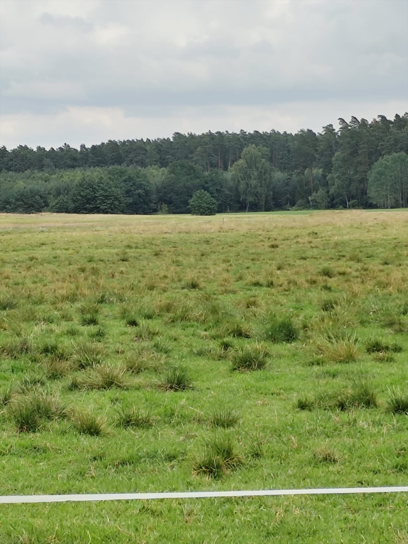 Działka siedliskowa na sprzedaż Kęsza, Kęsza 10  37 200m2 Foto 1