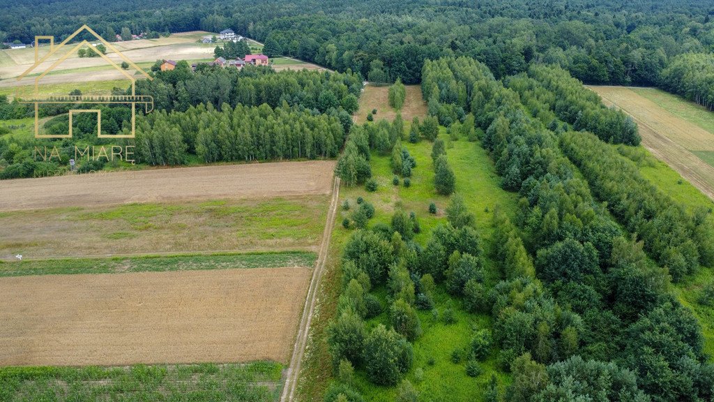 Działka budowlana na sprzedaż Kłoda, Leśna  1 808m2 Foto 6