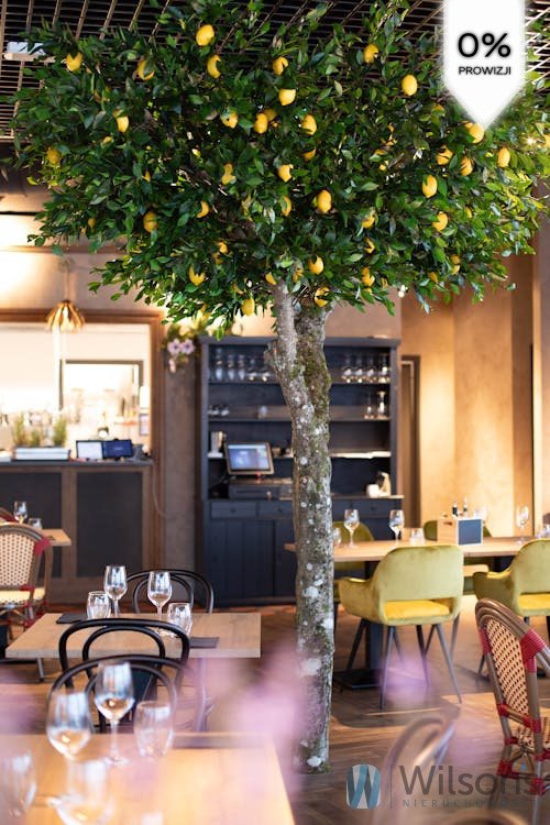 Lokal użytkowy na sprzedaż Pruszcz Gdański, NSZZ Solidarność  81m2 Foto 1