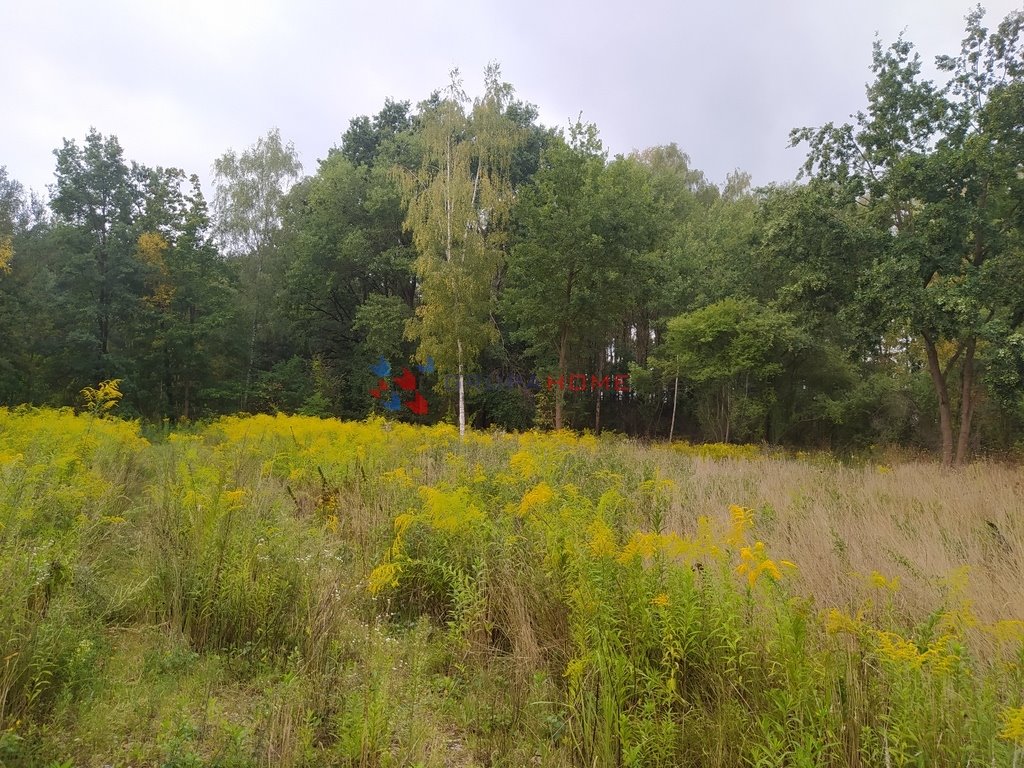 Działka budowlana na sprzedaż Kajetany  1 000m2 Foto 5