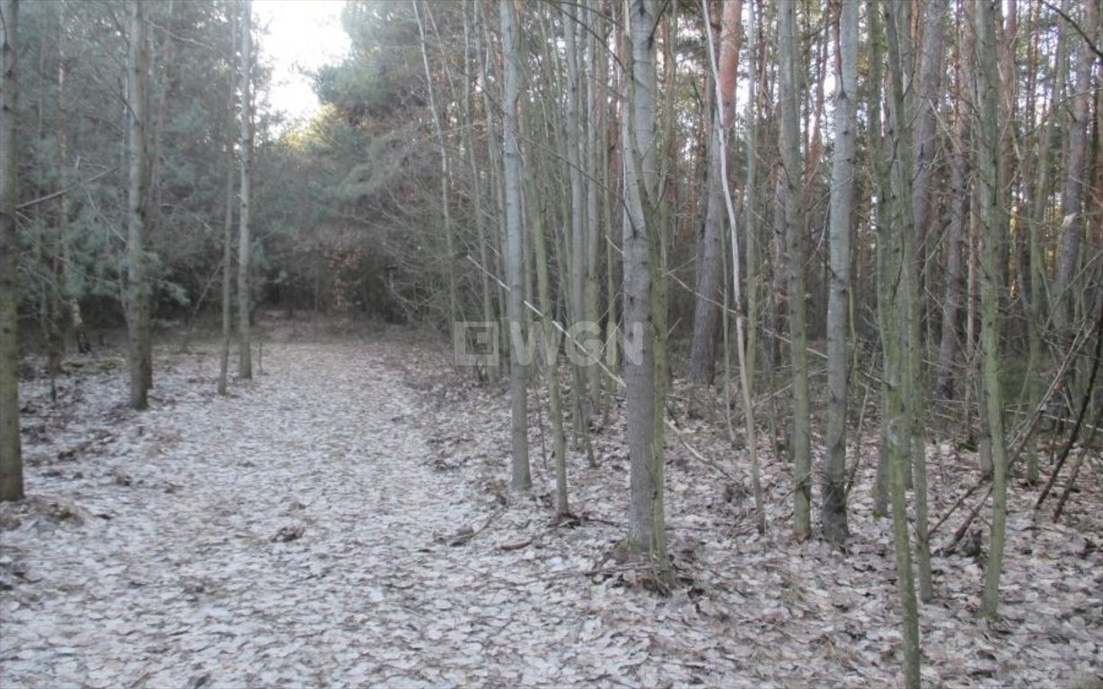 Działka leśna na sprzedaż Pradła, Pradła  1 050m2 Foto 1