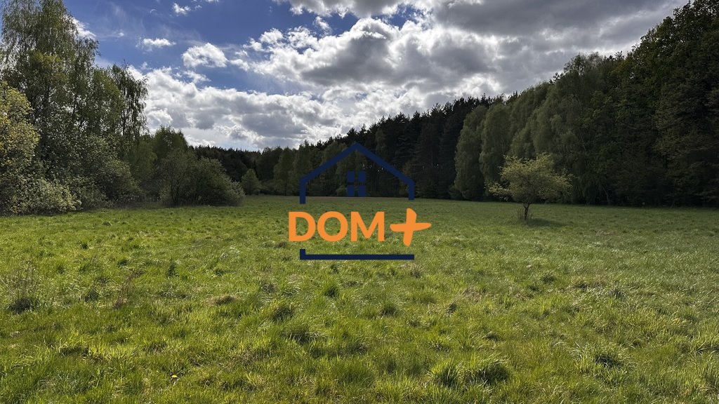 Do sprzedania działka 13,9 ha pod dom w Gorzycy Gorzyca  13 900m2 Foto 1