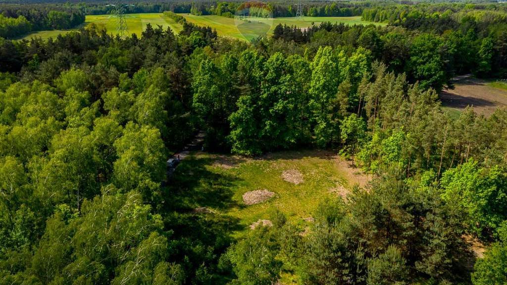 Działka rolna na sprzedaż Suchowizna  3 100m2 Foto 13