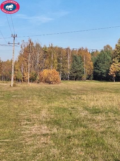 Działka inwestycyjna na sprzedaż Bartniki  14 500m2 Foto 1