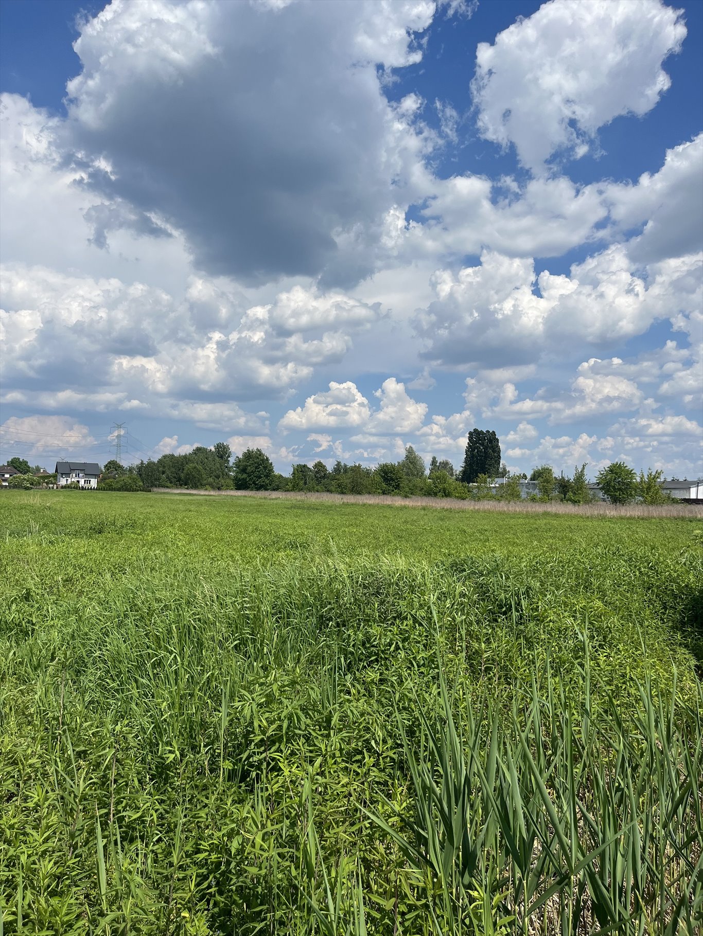 Działka budowlana na sprzedaż Stare Babice, Koczarska  1 600m2 Foto 7