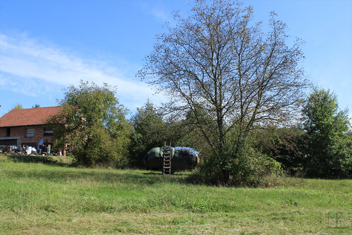 Działka budowlana na sprzedaż Nieszkowice Małe  1 350m2 Foto 5