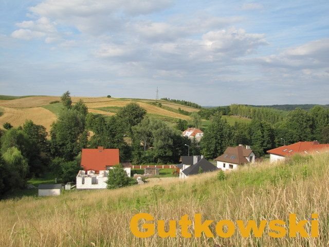 Działka rolna na sprzedaż Łąki Bratiańskie, Gmina Nowe Miasto Lubawskie  3 036m2 Foto 10