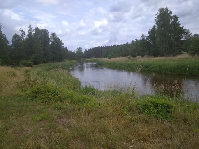 Działka rolna na sprzedaż Starowola, Puchacza  1 100m2 Foto 8