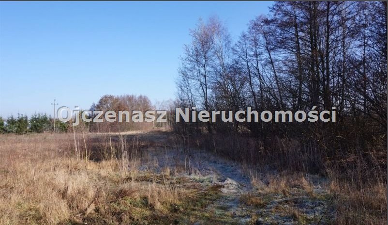 Działka budowlana na sprzedaż Niemcz  7 037m2 Foto 6