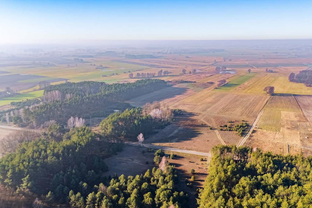 Działka siedliskowa na sprzedaż Borki  101 600m2 Foto 19