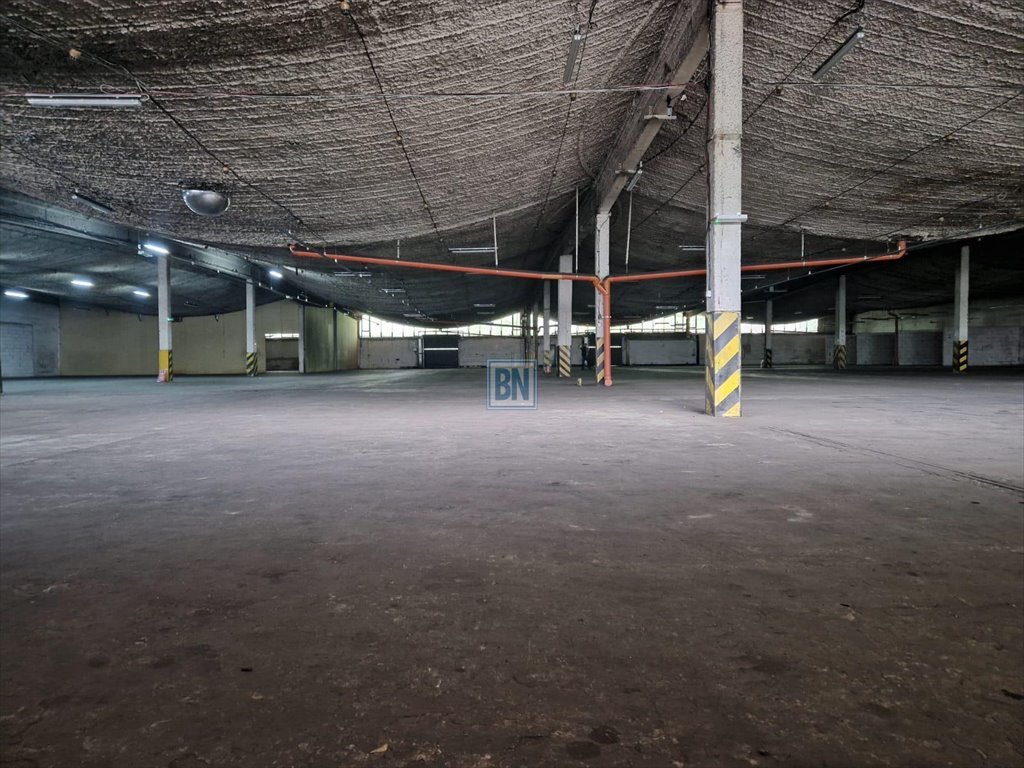 Lokal użytkowy na wynajem Zabrze  3 770m2 Foto 2