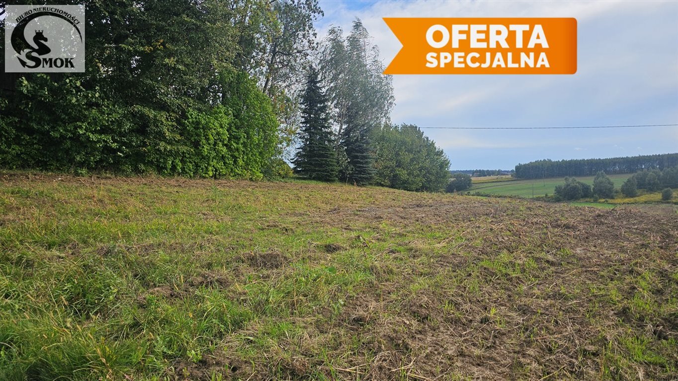 Działka budowlana na sprzedaż Zadroże  5 300m2 Foto 1