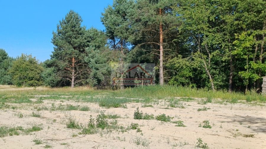 Działka budowlana na sprzedaż Grabów nad Pilicą, Lipinki  1 200m2 Foto 7